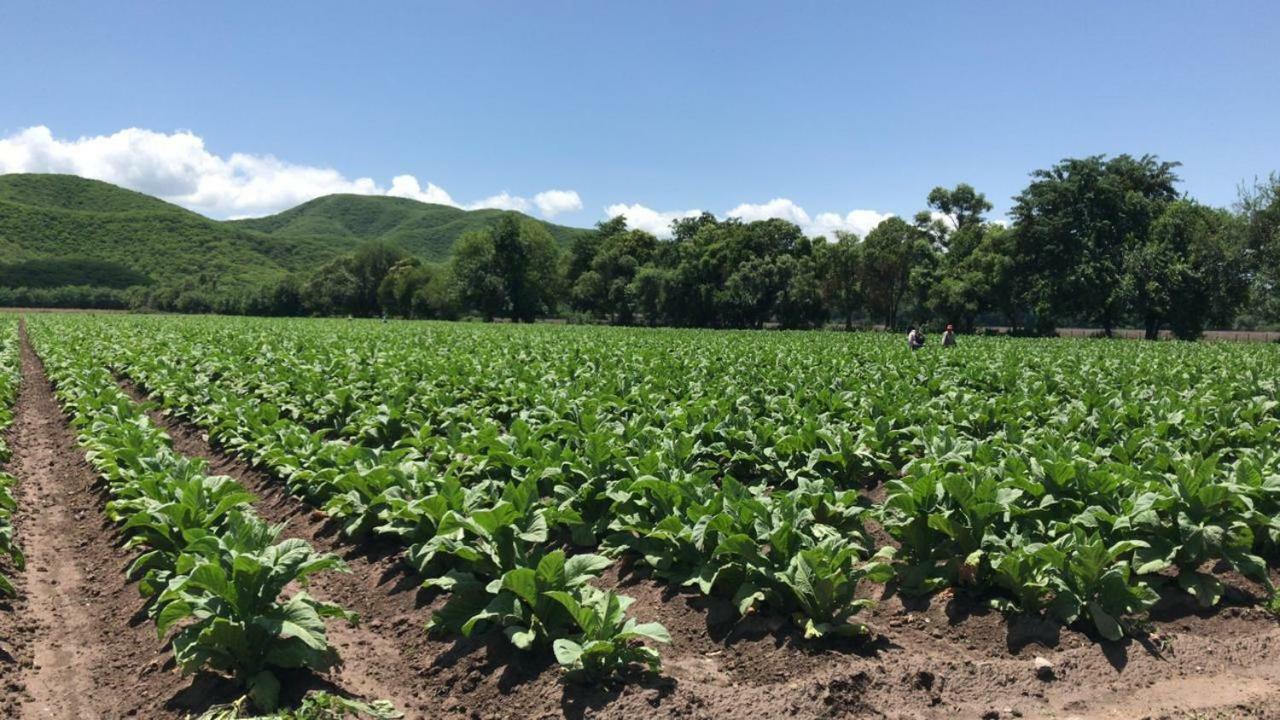 Finca La Secundina Pensionat Salta Eksteriør billede
