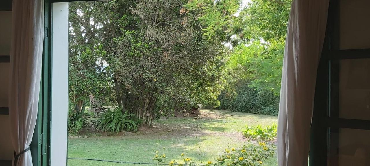 Finca La Secundina Pensionat Salta Eksteriør billede